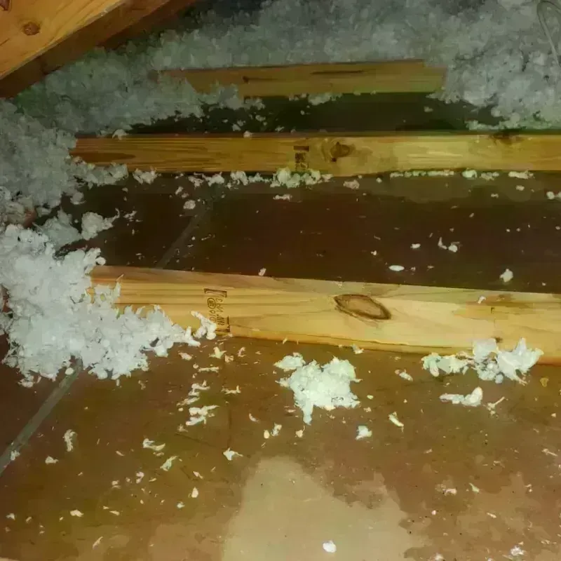 Attic Water Damage in Solvang, CA